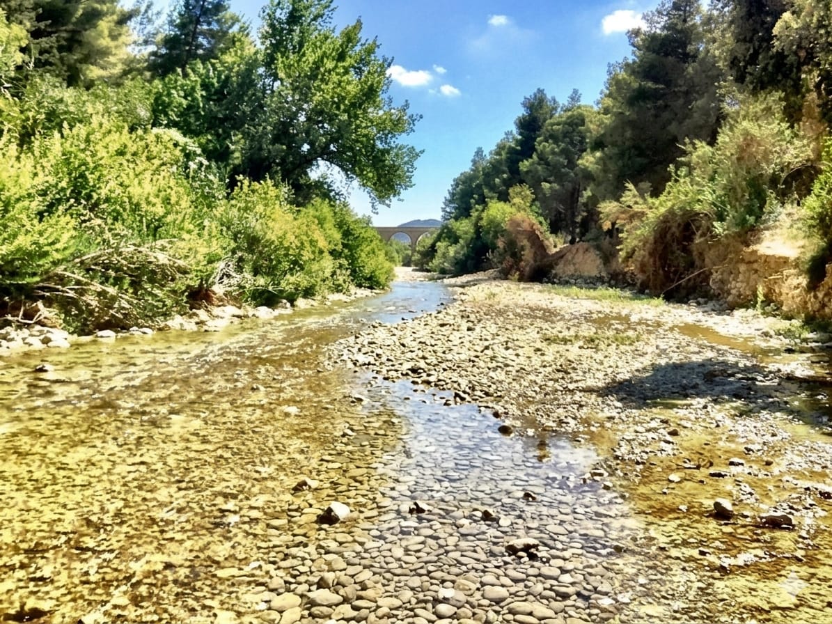 Animali al pascolo nella campagna dei Monti Sicani